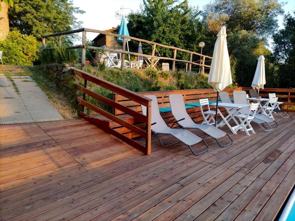 Le Mimose B&B Vinci Kültér fotó