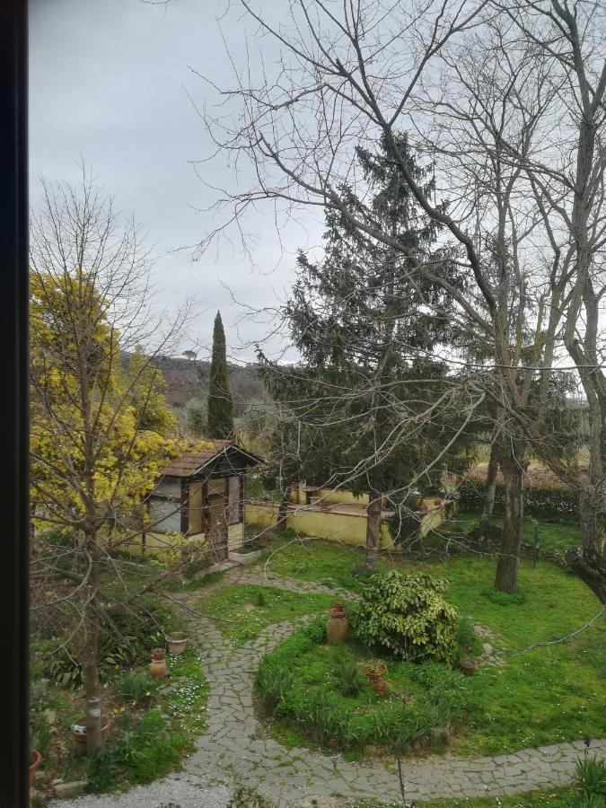 Le Mimose B&B Vinci Kültér fotó