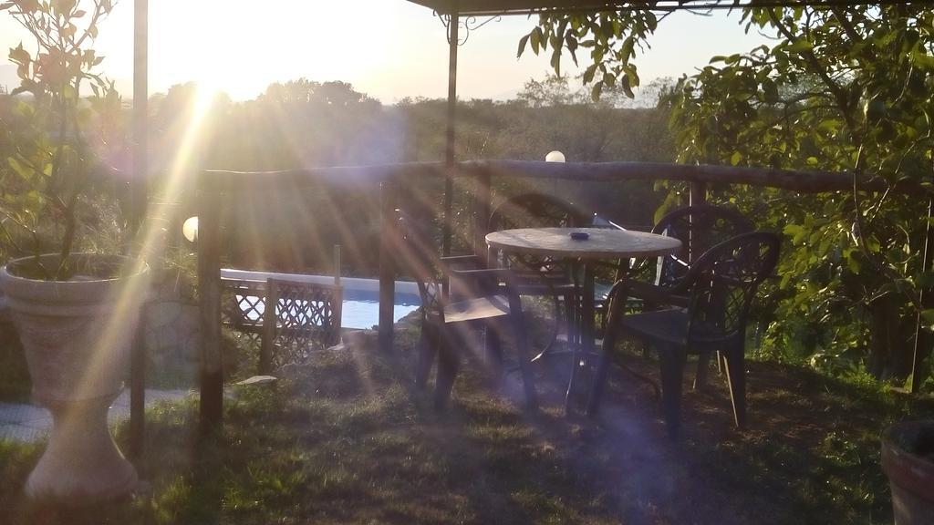 Le Mimose B&B Vinci Kültér fotó