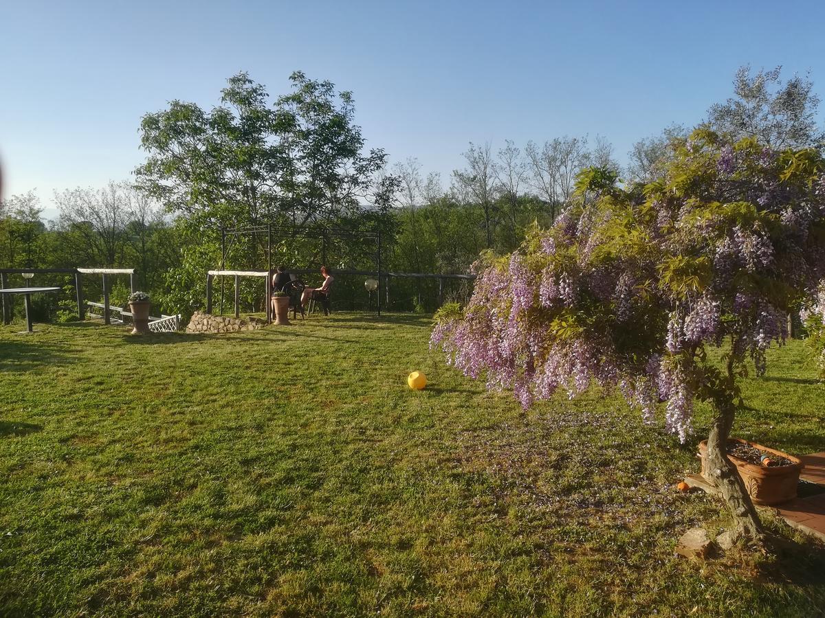 Le Mimose B&B Vinci Kültér fotó