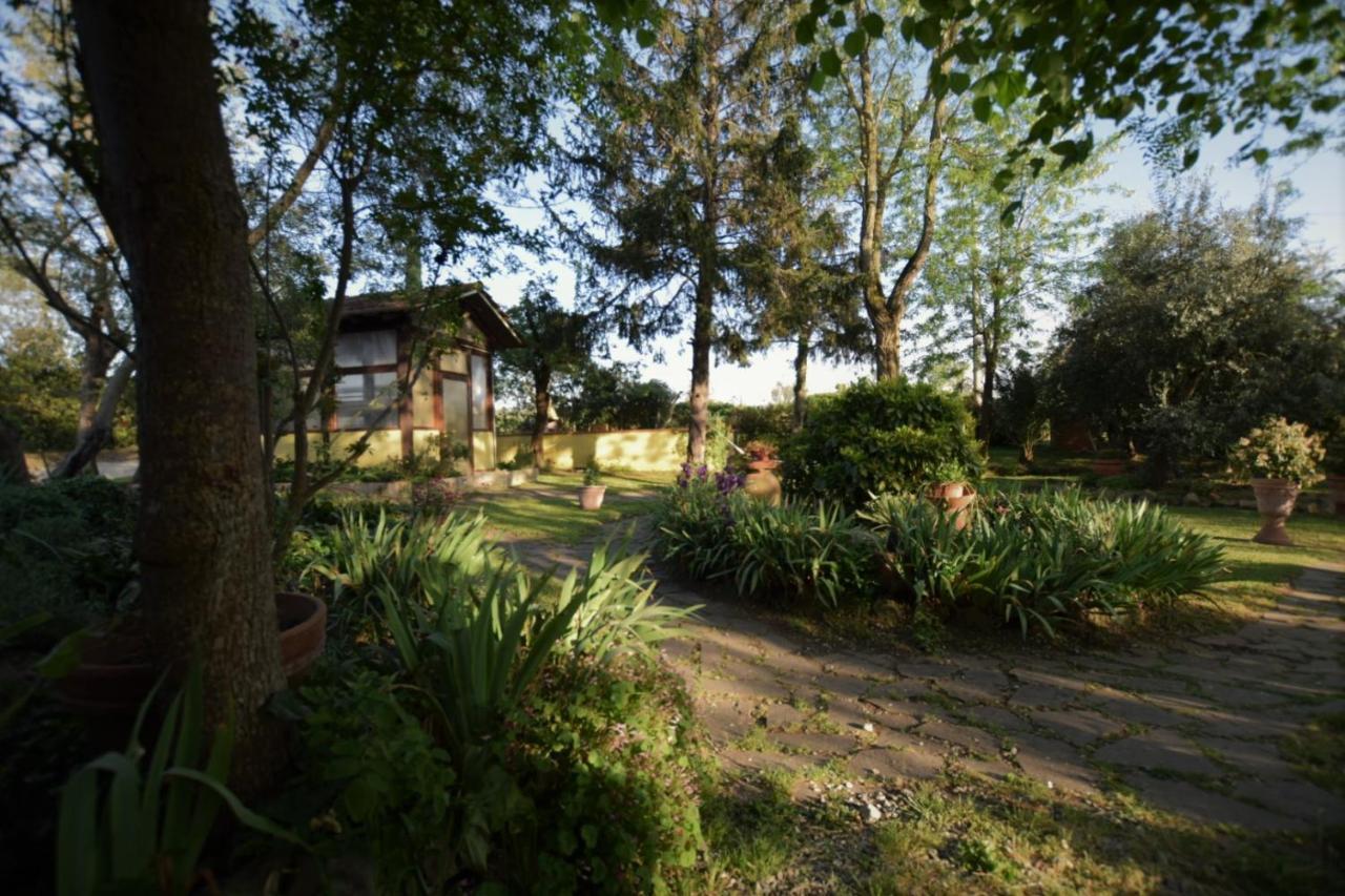 Le Mimose B&B Vinci Kültér fotó