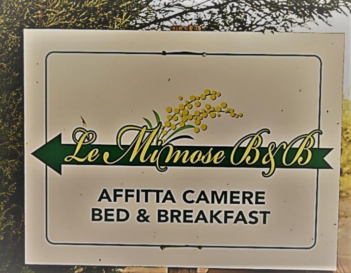 Le Mimose B&B Vinci Kültér fotó