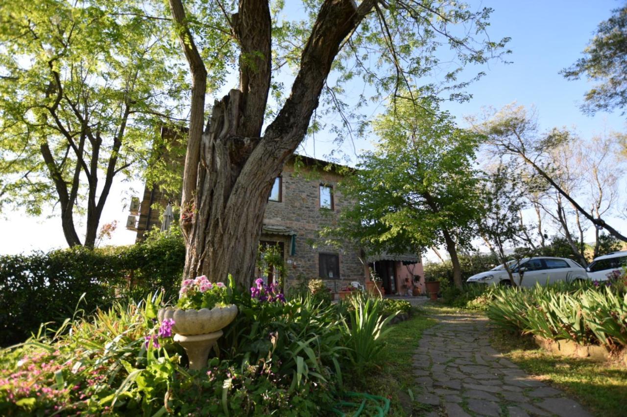 Le Mimose B&B Vinci Kültér fotó