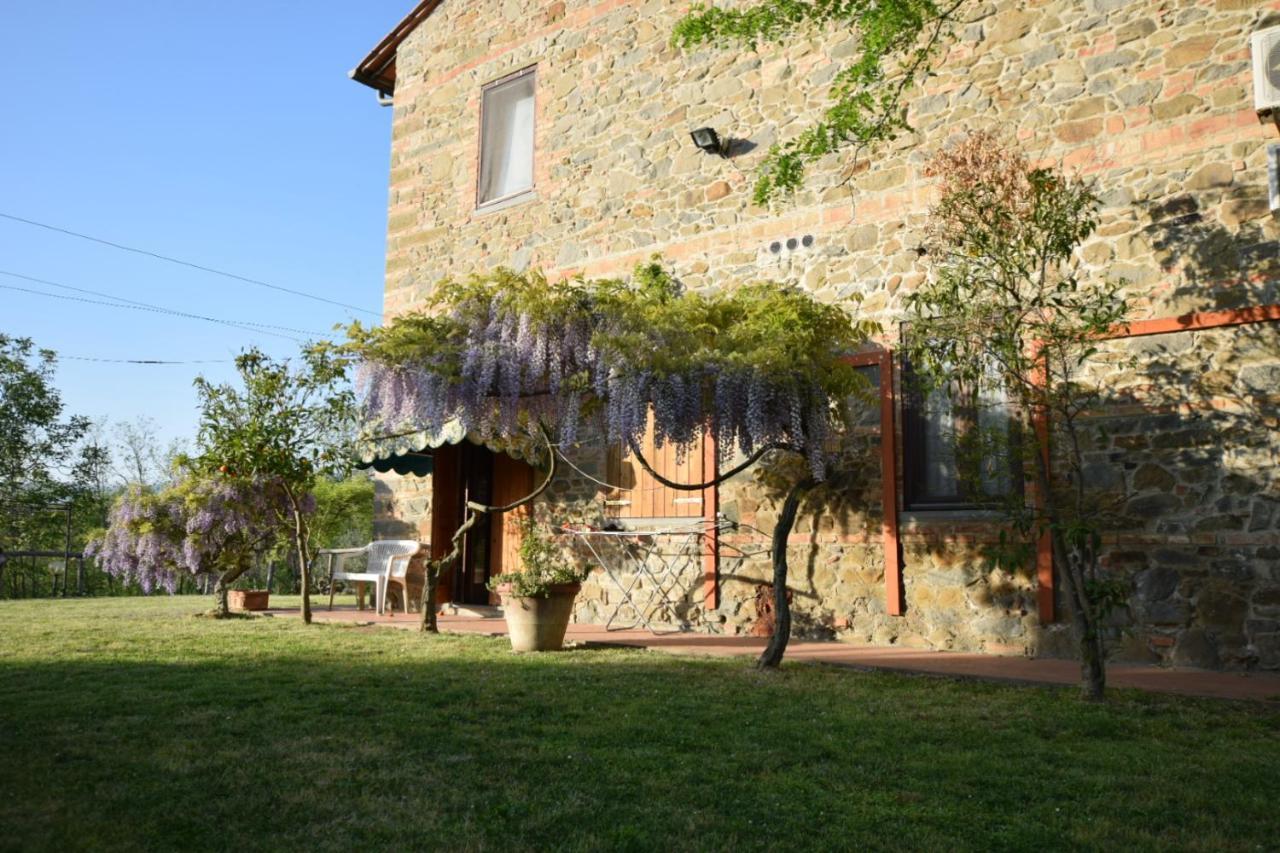 Le Mimose B&B Vinci Kültér fotó