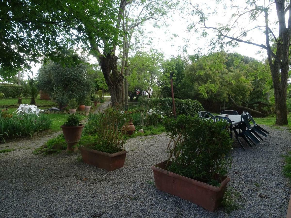 Le Mimose B&B Vinci Kültér fotó